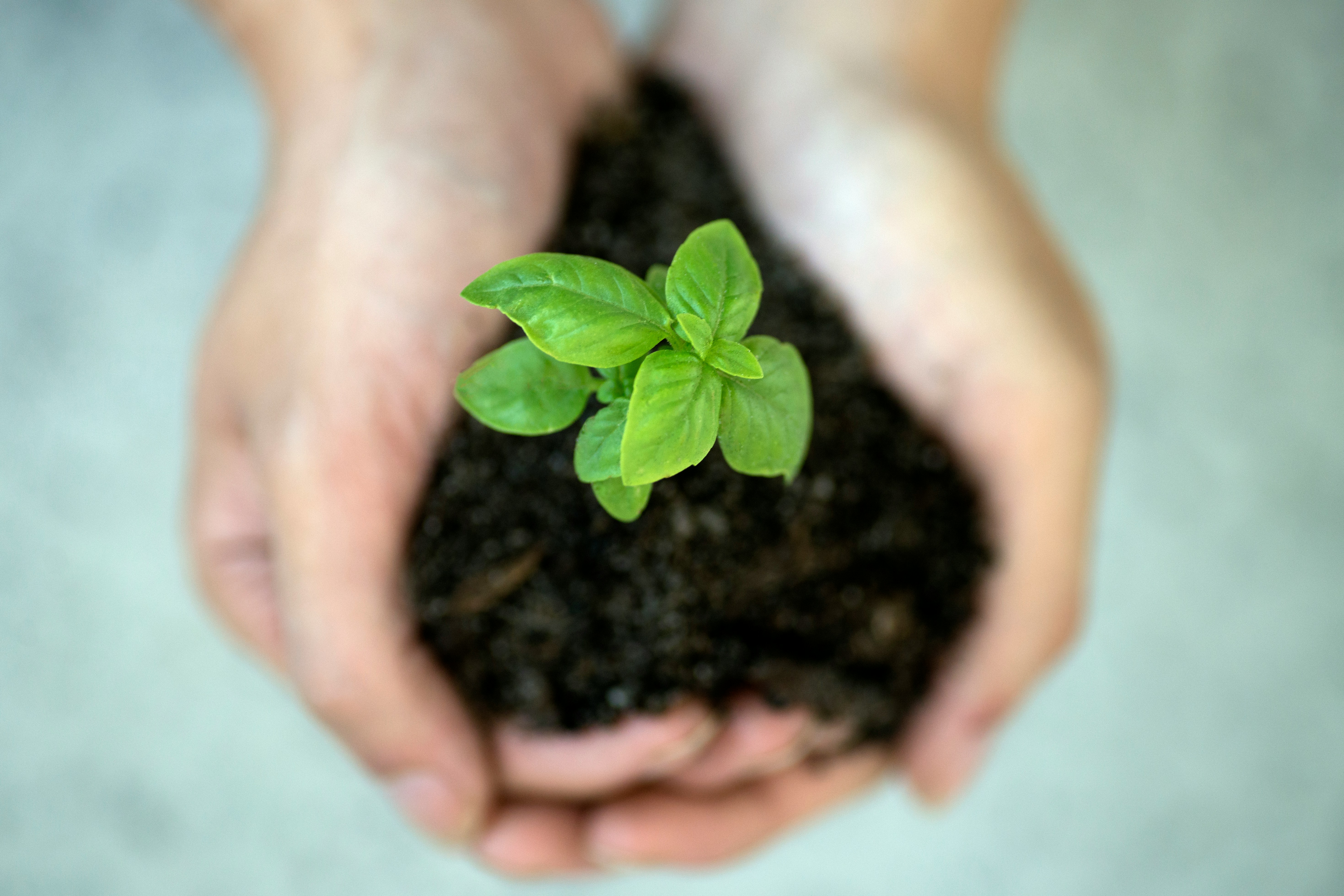 Sustainability, ESG & Governance Architecture
